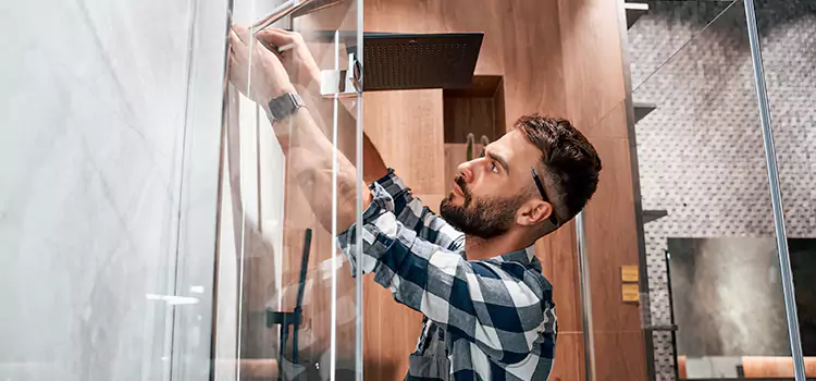 Replace Shower Doors with Frameless Oak Lawn
