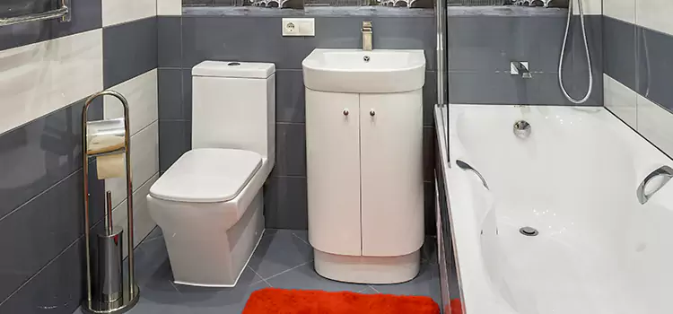 Hansgrohe Shaving Mirror Oak Lawn